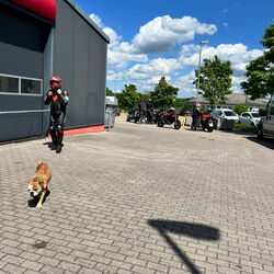 Ausfahrt mit Ducati Club - 2026-05-09